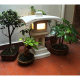 Faroles Japoneses De Cemento Para Jardin Con Luz