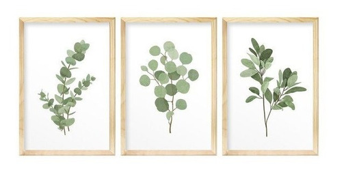 Kit 3 Quadros Decorativos Folhagem Verde Natureza Jardim