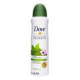 Antitranspirante Em Aerossol Dove Matcha E Flor De Sakura Nutritive Secrets Ritual Energizante 150 Ml