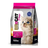 Br For Cat Kitten 1 Kg 