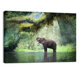 Cuadro Decorativo Animales Canvas Lienzo Elefante Feliz