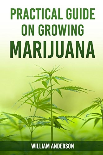 Guia Practica Sobre El Cultivo De Marihuana
