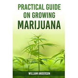 Guia Practica Sobre El Cultivo De Marihuana