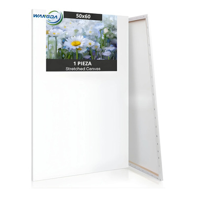 Lienzo 50x60 Bastidor Artístico Pintura Económico Canva | MercadoLibre