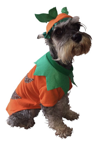 Disfraz Calabaza Perro Halloween Talla 00 Mascota Pet Pals