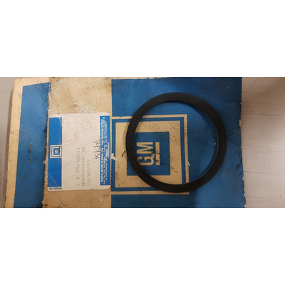Anel Vedador Tampa Bomba Direção D20 1985 Gm 94656211