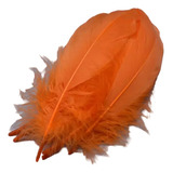 Plumas Decorativas Artificiales Color Naranja Paquete X 20