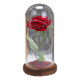 Regalo De Para Mujer, Decoración Del Día De San Valentín,