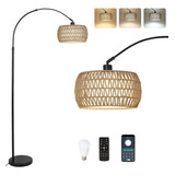 Arc Floor Lamp With Remote, Modern Led Floor Lamp With Dimma