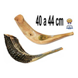 Shofar Chifre De Carneiro De Tocar - De Israel