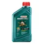 Aceite Castrol Magnatec 10w 40 A3 Auto Lubricante Semi 1l