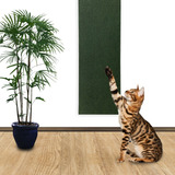 Arranhador Brinquedo Para Gato De Parede Carpete Mdf 19x60 