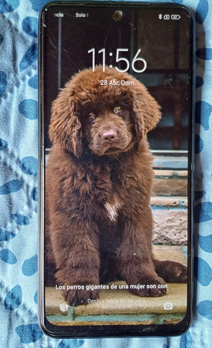 Xiaomi Redmi Note 10 Dual Sim 128 Gb Gris Ónix 6 Gb Ram