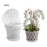 Kit De 10 Macetas Rígidas Transparentes - Orquídeas