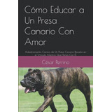 Como Educar A Un Presa Canario Con Amor: Adiestramiento Cani