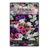 Semillas De Petunia Mixtas Enanas Para Plantar - Instruccion