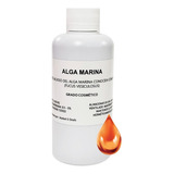 Algas Marinas Extracto Uso Comestico - 500ml