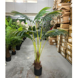 Planta Artificial Árvore Palmeira Leque Grande Com 170cm