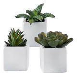 3 Planta Suculenta Artificial No Vasinho Vaso Decorativo 