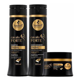 Kit Haskell Cavalo Forte Shamp,cond.300ml Masc.300g,sel.240g