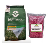 Sementes De Milho Verde Híb. Biomatrix 3066 Vt Pro3 - 2 Kg