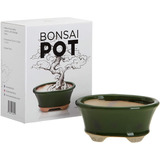   Maceta De Ceramica Esmaltada Para Bonsai 16x12x7cm Verde