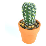 Cactus Artificial Mediano 10*7cm