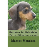 Libro: Secretos Del Salchicha: Perro-obediente (spanish