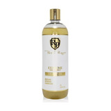 Shampoo Extreme Treatment 1l Robson Peluquero