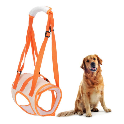 Cinturón De Soporte De Pierna Trasera Para Perro Mascota (s)