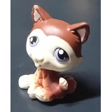 427 Husky Little Pet Shop Hasbro 
