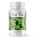 Erva Tulsi (ocimum Tenuiflorum) Natural 60 Cápsulas De 500mg