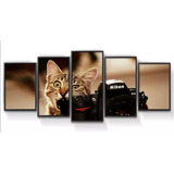 Kit 5 Quadros Decorativos Mosaico Gatinho Com Câmera Fotográ