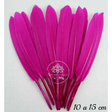 Plumas De Ganso En Color Rosa Fiusha Paquete De 30 Plumas 