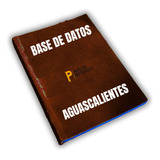 Base De Datos Empresariales Aguascalientes