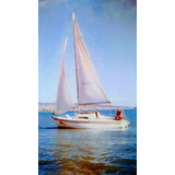 Velero White Wind Crucero