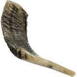 Shofar Tradicional De Israel, Instrumento Musical Natural Ju