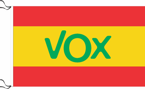 Bandera De Vox España 150 X 90 Cm