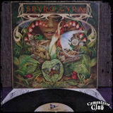 Spyro Gyra - Morning Dance - Ed Usa 1979 Vinilo Lp