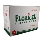 Floricel  Espuma Floral 1 Un Ladrillo