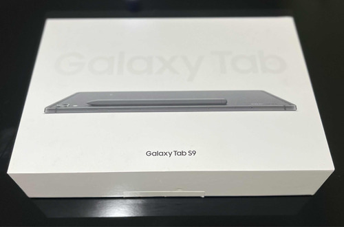 Samsung Galaxy Tab S9 - 256gb - 5g
