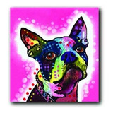 Enjoy It Pet Magnet, Boston Terrier Con El Arte Pop De Dean 