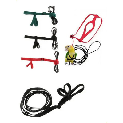 2 Correas Elásticas Duraderas Para Loro O Periquito 1