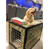 Caixa De Transporte Aéreo Cão Golden Labrador