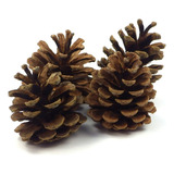 Piñas De Pino Navideñas Naturales Paq Con 50 Pz De 5 A 7 Cm