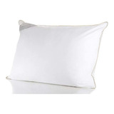 Buddemeyer Toque De Pluma Travesseiro 50x90cm Algodão Branco