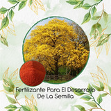 Fertilizante Para El Desarrollo De Guayacán Amarillo