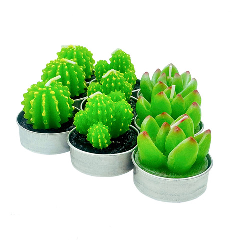 Pack 12 Velas Recuerdo Souvenir Vela Cactus Suculenta 4x5cms