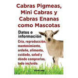 Cabras Pigmeas, Mini Cabras Y Cabras Enanas Como Mascota. Da