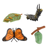 Figura De Insectos De Alta Calidad Con Diseño De 4 Piezas De